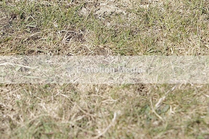 BVHT 140517 I-813 - Class 1 SJ Intermediate 14/05/17