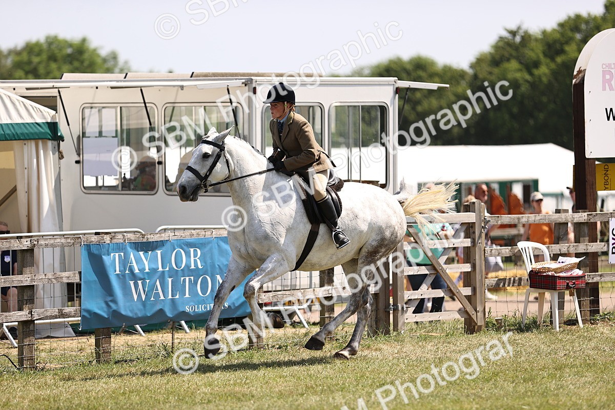 SBM_15113 - Class 79-80 - LIHS BSHA Rising Star Ridden Hunter