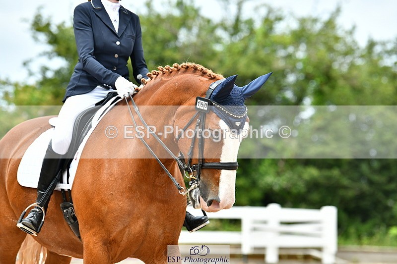 230702A-130142-09768 - Cls 28 Elementary 45