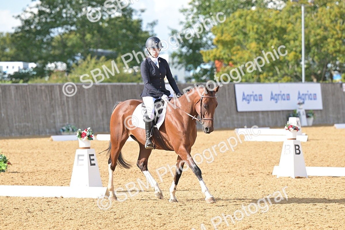 SBM_11112 - D3 - Small Tour Championship Intro 3