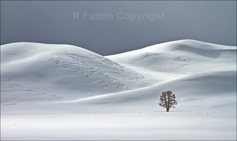 Approaching Storm - Yellowstone