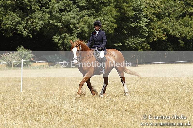 _BS_0824 - BVRC Show 2018 Ring 1