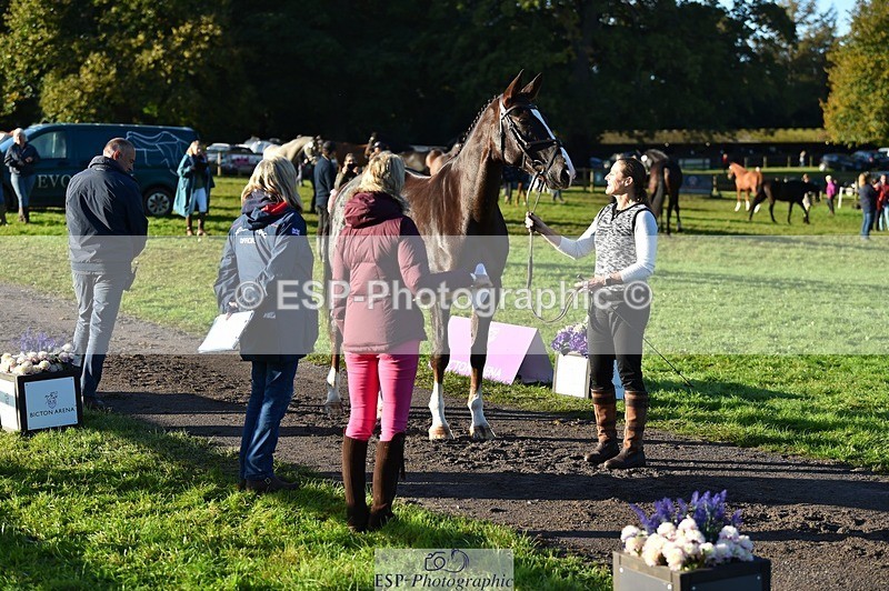 231022-092626-21789 - 690-JAZZ.QUARTET-Louise.Turner-smith-TrotUp+SJ