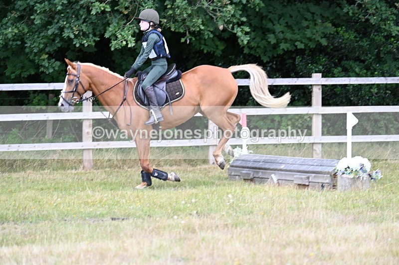 WJ7_1711 - 60cm Time 13:20 to 14:27