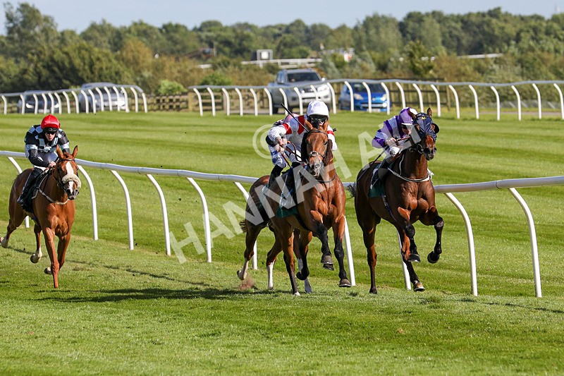 080624-Race 7-Starshine Legend-5093 - Race 7