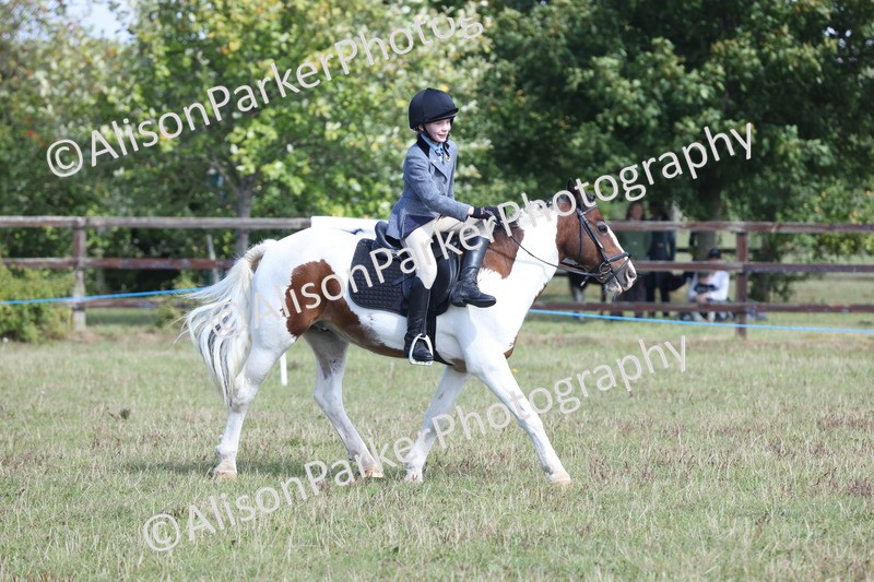 20250831-2470 - Class 16 - Family Pony