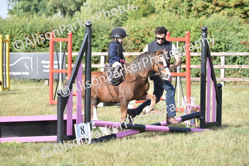 20250831-0327 - Class 6 - Minimus Jumping 30cm
