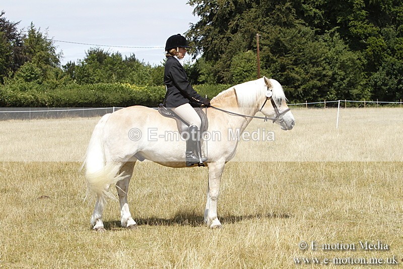 _BS_0812 - BVRC Show 2018 Ring 1