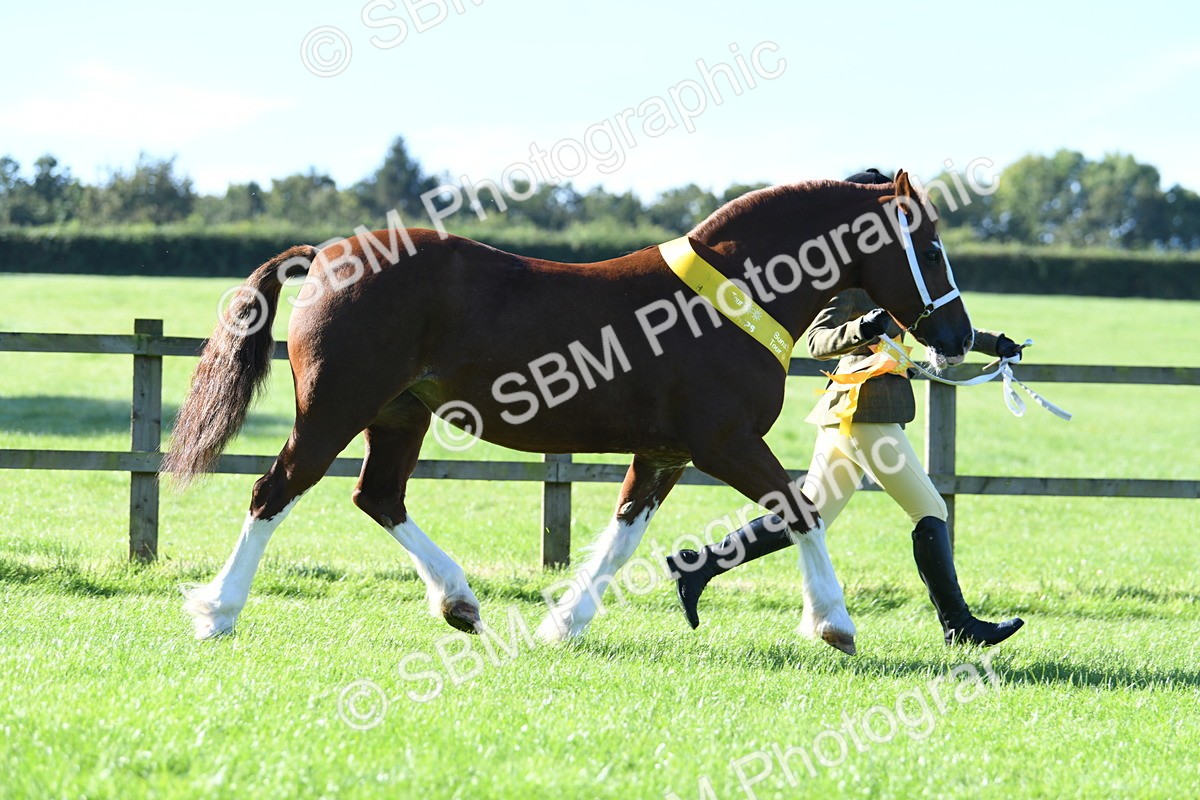 SBM_35557 - Top Turnout Supreme Championship