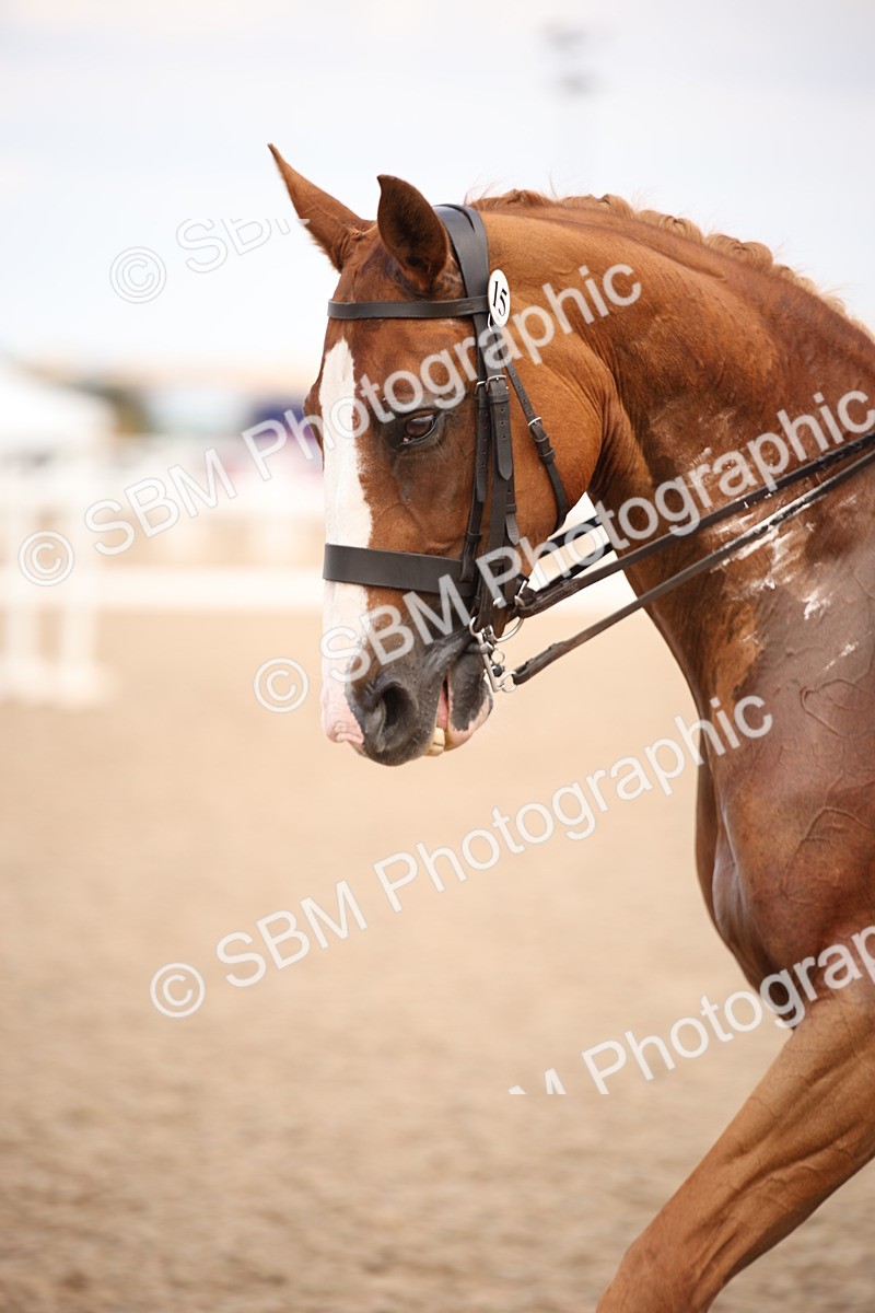 SBM_06656 - Class 23 SSA Classical