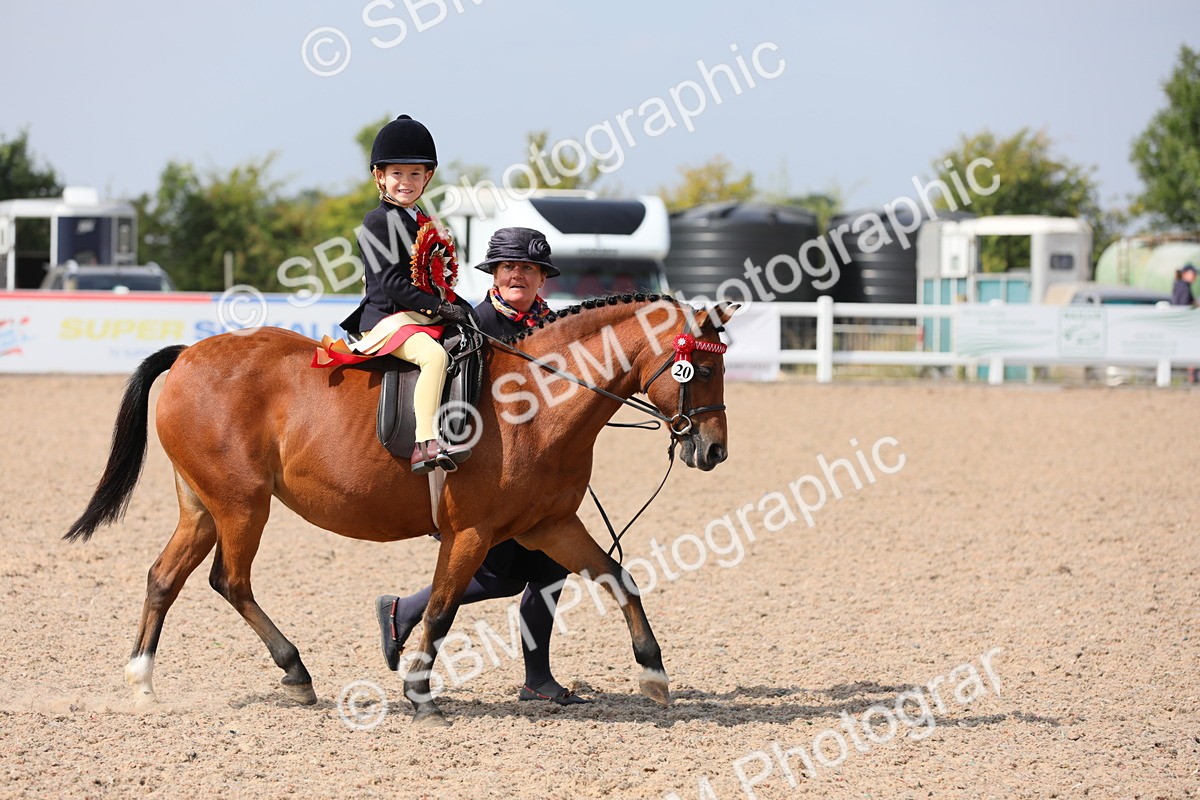SBM_14128 - Class 309 Lead Rein Pony