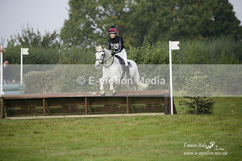  WWHT 171021 0851 - Open Novice (0.80m)  17/10/21