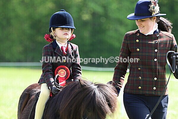IMG_4905 - Working Hunter