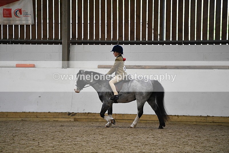 WJ5_6891 - Class 10 Childs Pony