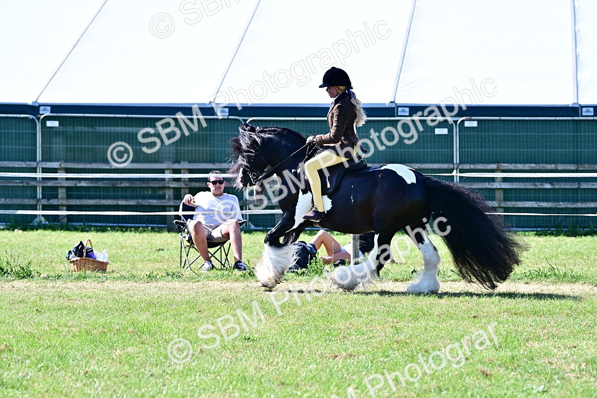 SBM_19407 - Class 101-102 - BSPS LIHS Performance Coloured Horse/Pony