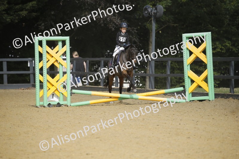 20250622-1375 - 40cm