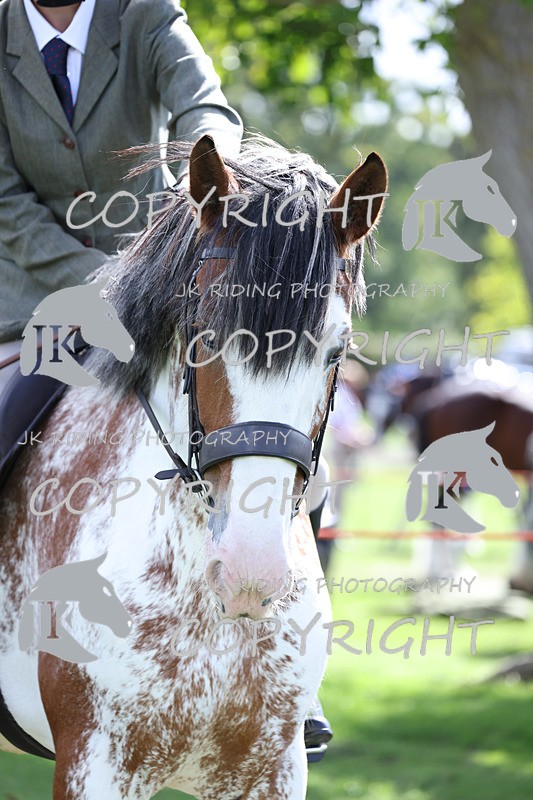 APP_3684 - Class 8 Ridden Class