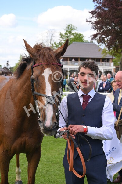 yr12052022r2-44 - Race 2 2.25pm Al Basti Equiworld Dubai Middleton Fillies' Stakes