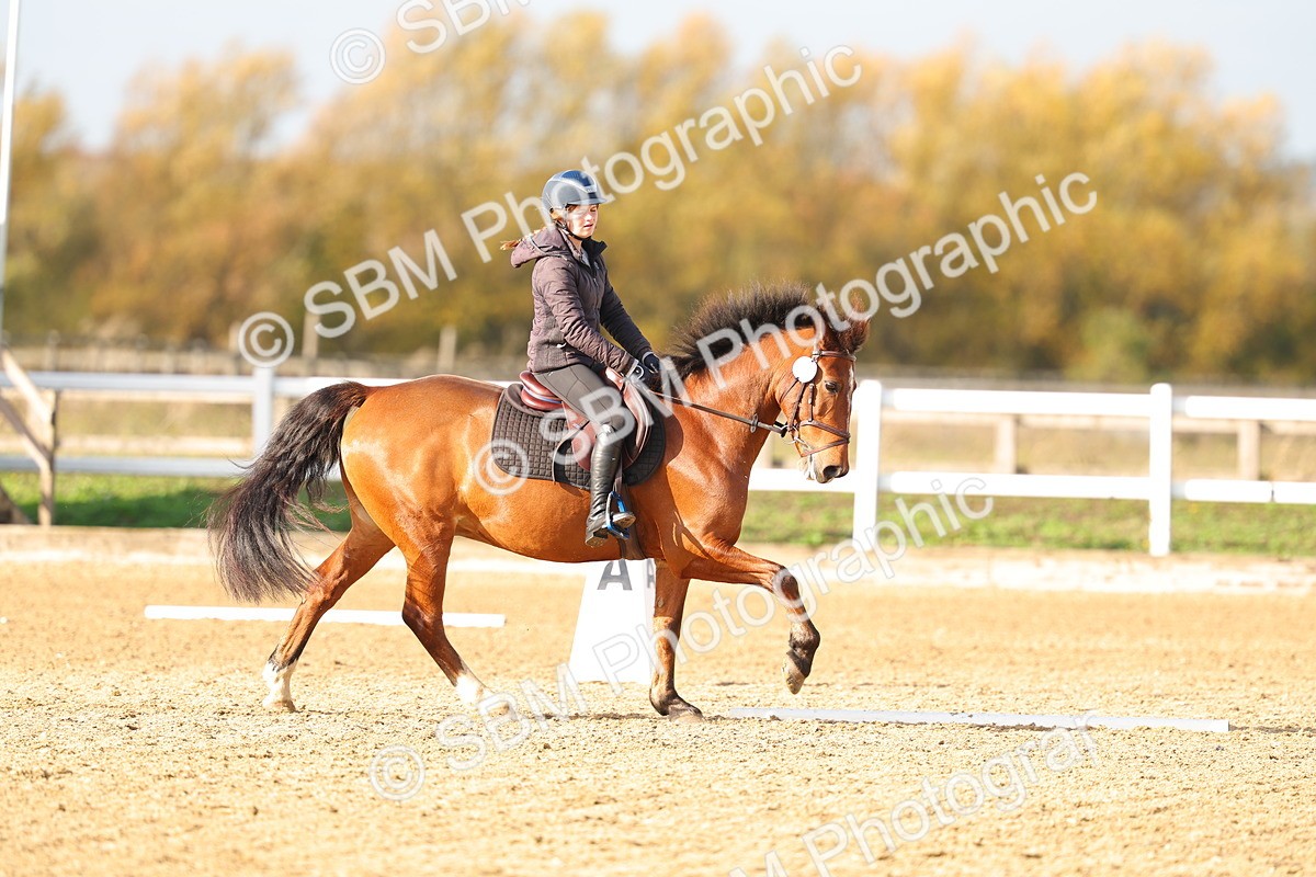 SBM_001209 - Class 13-4-9 - DR P3 CT P3 70cm CT PYO