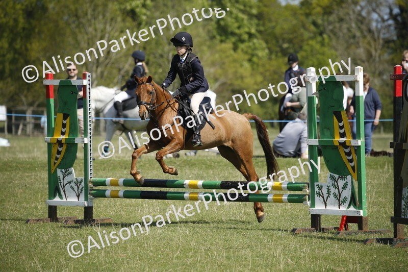 20250427-2084 - Class 13 - Novice Jumping 60cm