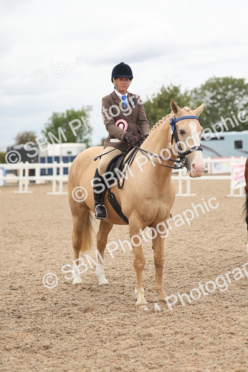 SBM_18225 - Class 315 - Best Horse-Rider Combination