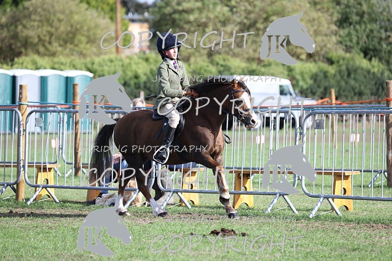 APP_4218 - Class 15a/b Pony club pony/Riding club horse