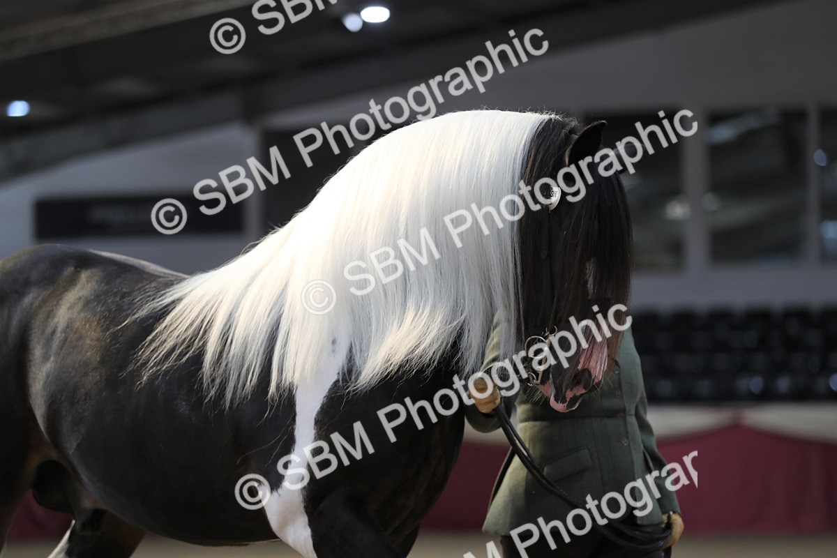 SBM_01280 - Class 3a Area IH Pre Vet