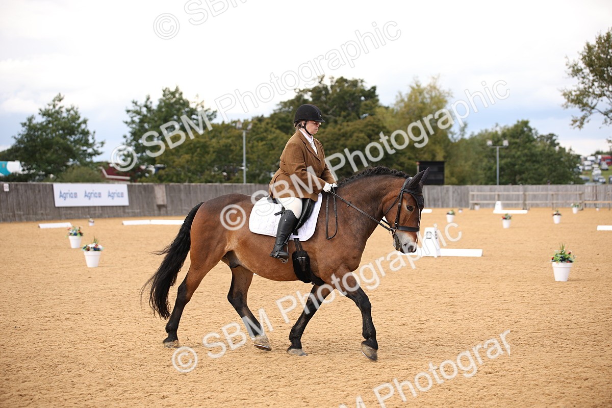 SBM_09058 - D8 Small Tour Championship Prelim 7