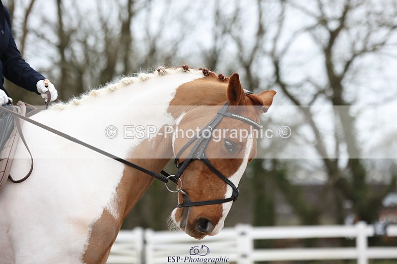 240121A-102956-01079 - Cls 6 Music Novice