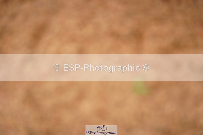 240526A-131818-08313 - Cls 27 Chard Equ May Grand Prix