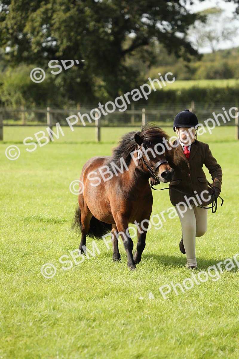 SBM_68616 - S40 - Junior Handler 9-12 Years