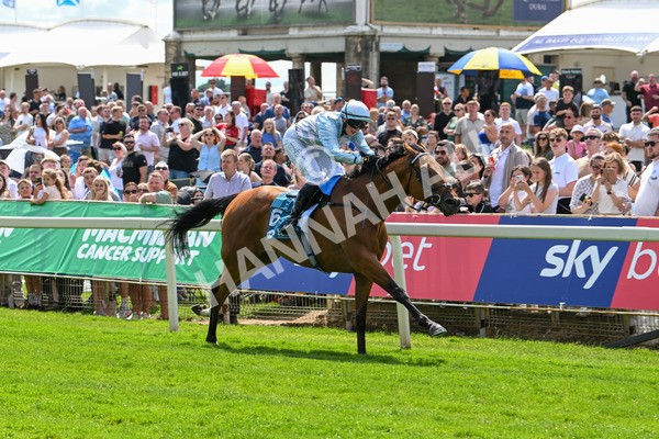 140625-Race 2-My Dream World-2321 - Race 2 2.25pm Queen Mother's Cup Handicap