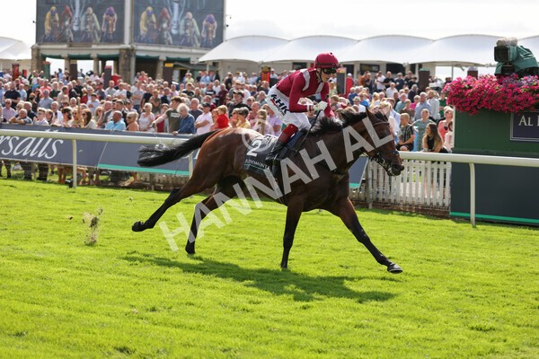 yr18082021r4-81 - Race 4 3.35pm Juddmonte International Stakes (British Champion Series race)