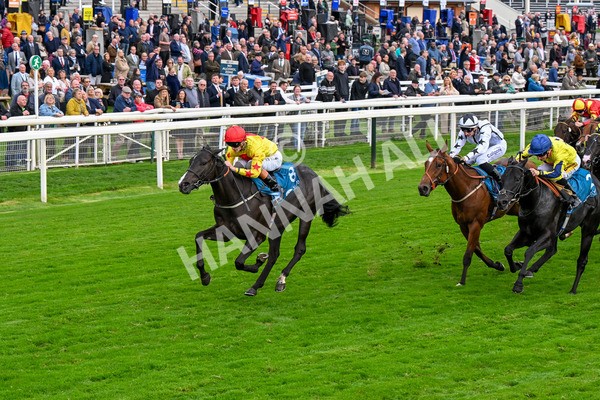 101025-Race 5-Go Vince Go-0404 - Race 5 Parsonage Hotel And Cloisters Spa Nursery Handicap at York