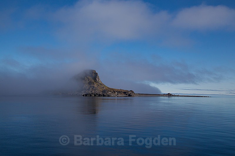 Karl XII øya 7053 - Trip with MS Expedition August 2016