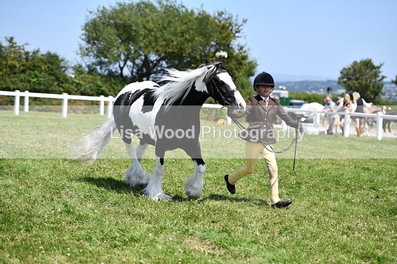 DSC_7687 - Class 64: Coloured Pony 4yrs & over