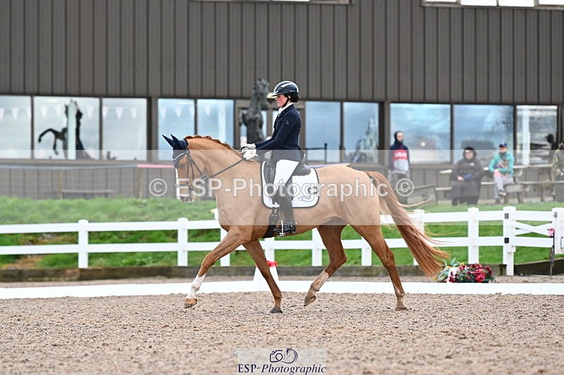 240218A-104035-06179 - 272-Beth.Bainbridge-Newton.Dreamcatcher