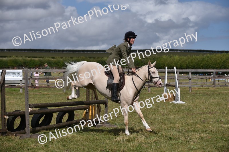 20250831-4081 - Class 13 - Working Hunter Horse or Pony