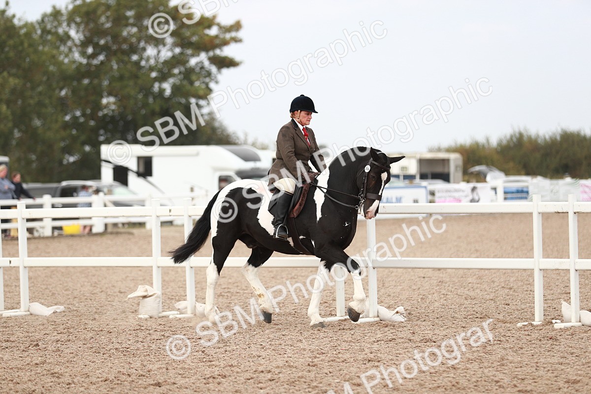 SBM_16654 - Class 214 Ridden Cob