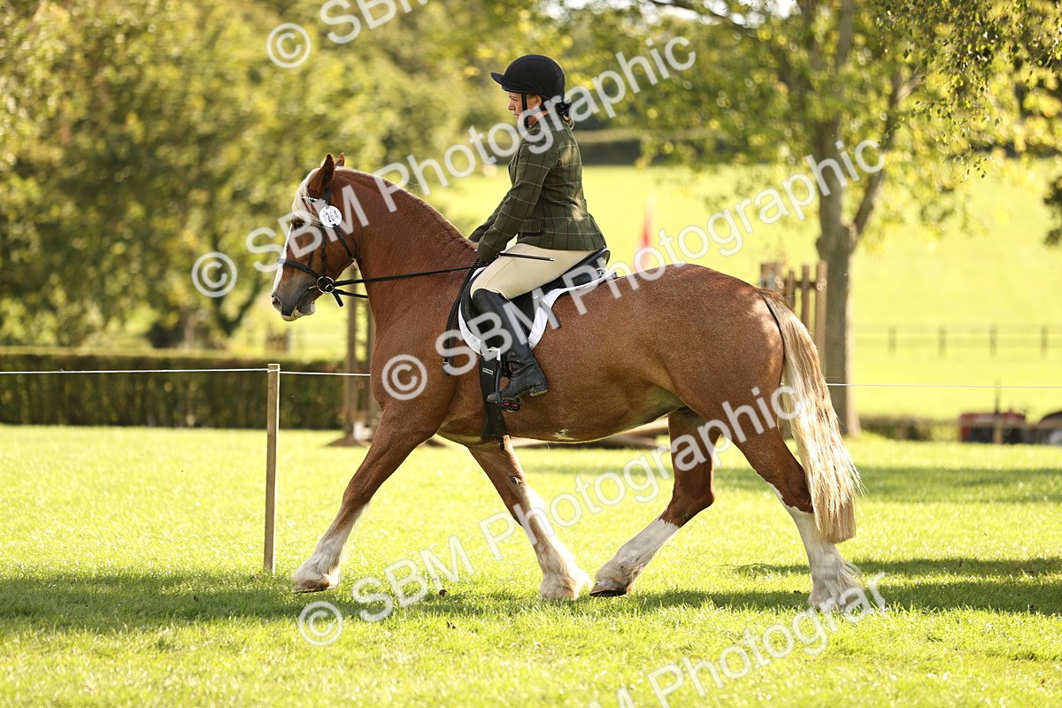 SBM_26406 - S6 - Novice & Newcomers Ridden Horse