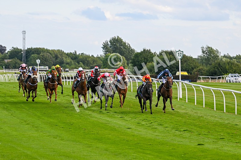 060824-Race 6-Golden Prosperity-3014 - Race 6