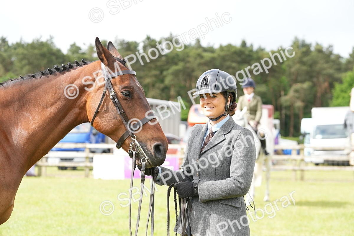 SBM_12772 - Class 97-98 - LIHS BSHA Rising Star Working Show Horse Hunter