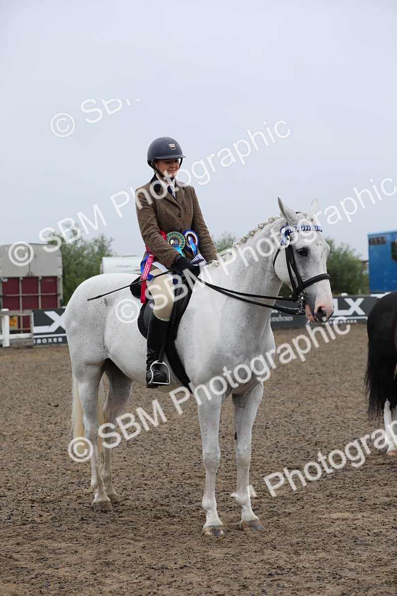 SBM_20090 - Class 802 - Ridden Groom - Helpers class