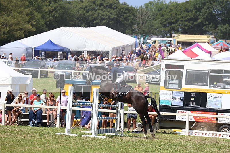 3E7A3382 - Class 10: Senior Foxhunter/1.20 open