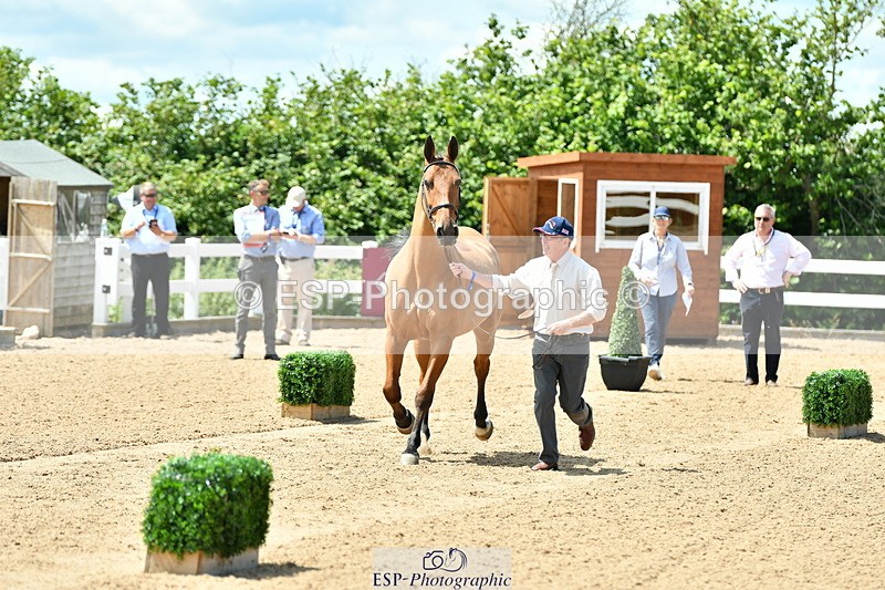 230719A-130411-00264 - Trot Up 1pm to 2pm