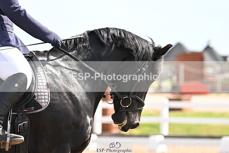 250620-104129-02666 - BD Cls 4 - Novice 5, Start to 11.30am