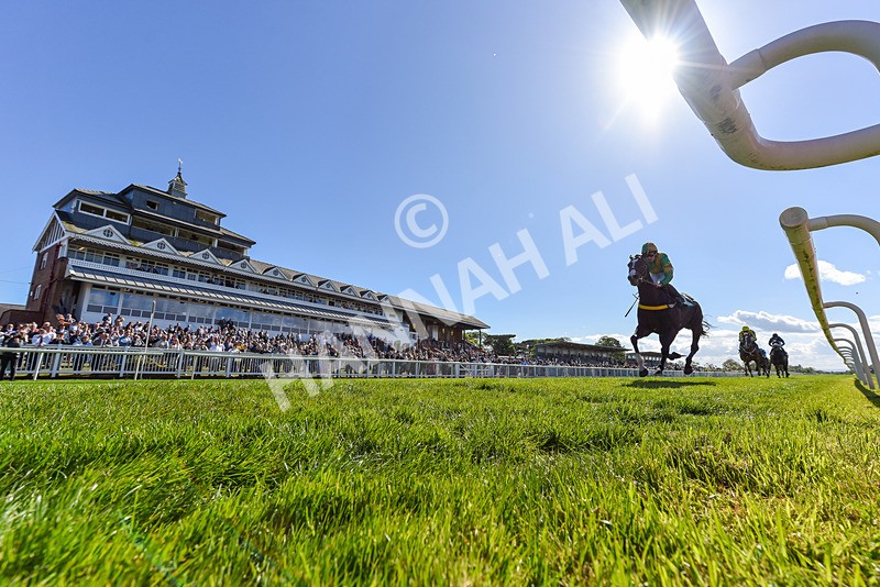 030525-Race 5-Savrola-1472 - Race 5