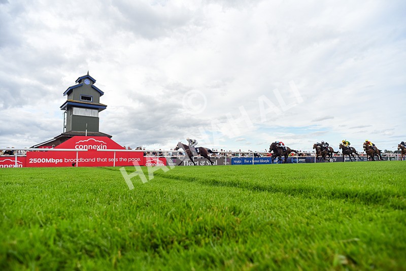 050725-Race 7-Dollys Delight-5606 - Race 7