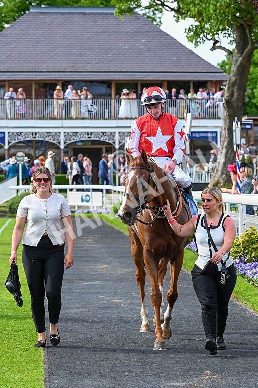 230526-Race 7-Golden Strike-8080 - Race 7 17.00pm William Hill Boosts Every Day Handicap