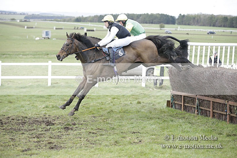 PtP 150320 0735 - New Forest Point-to-Point Larkhill 15/03/20